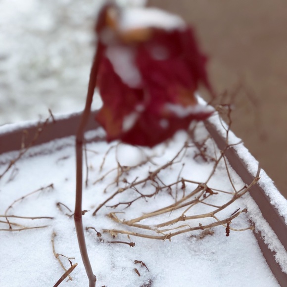 Meet your Posher, Ashley - Picture 1 of 1